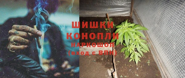 spice Алексин