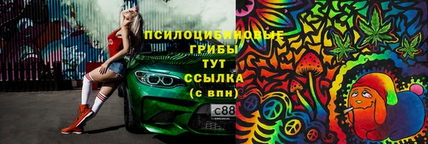 хмурый Алексеевка