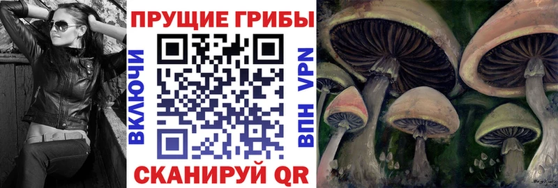 Галлюциногенные грибы мухоморы  Котельники 